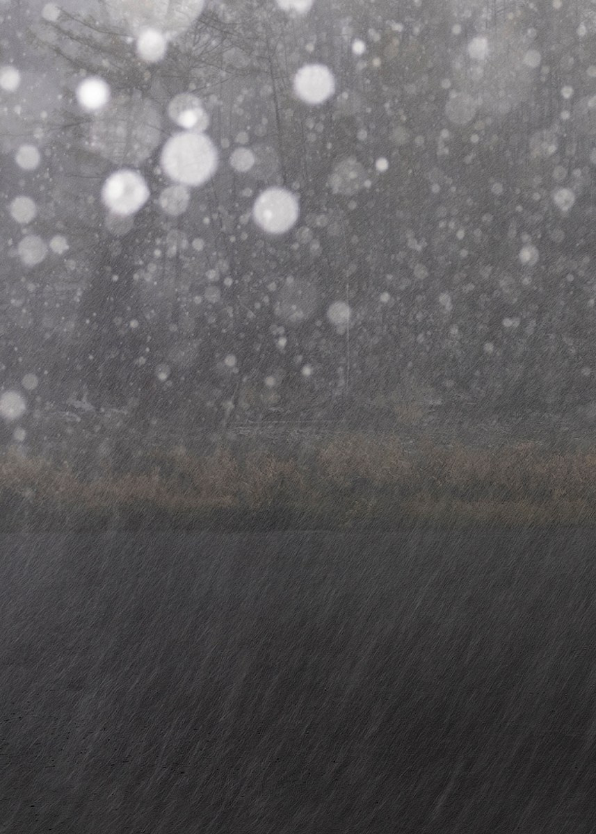 Атлас первого снега серия фотографий. Елена Аносова — художница и исследовательница, куратор и лектор