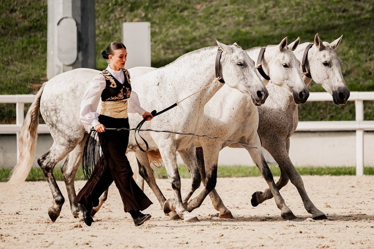 ЭКВИРОС — СЕНТЯБРЬ 2025. Куракина Дарья • Конный фотограф