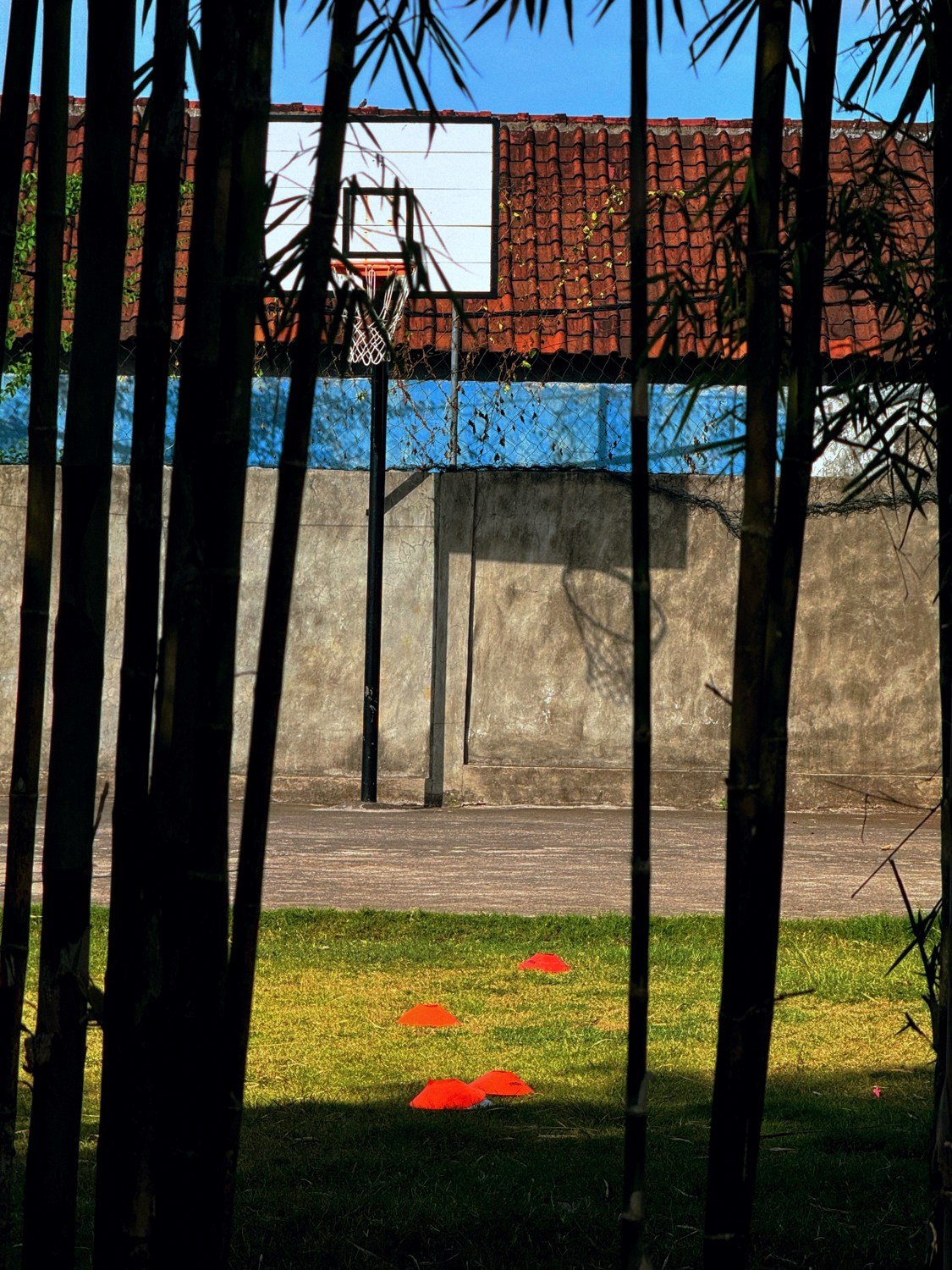 Современная концептуальная фотография о теле, уязвимости и идентичности. Визуальная практика на стиле честности, пост-иронии и искусства.Рекламная фотография, Концептуальная фотография, Современный художник, Психология, Коммерческий фотограф, Репортажный фотограф, Стрит фотография, Арт, Сюрреализм, Мобильная фотография, Снято на айфон, Дима Бурза