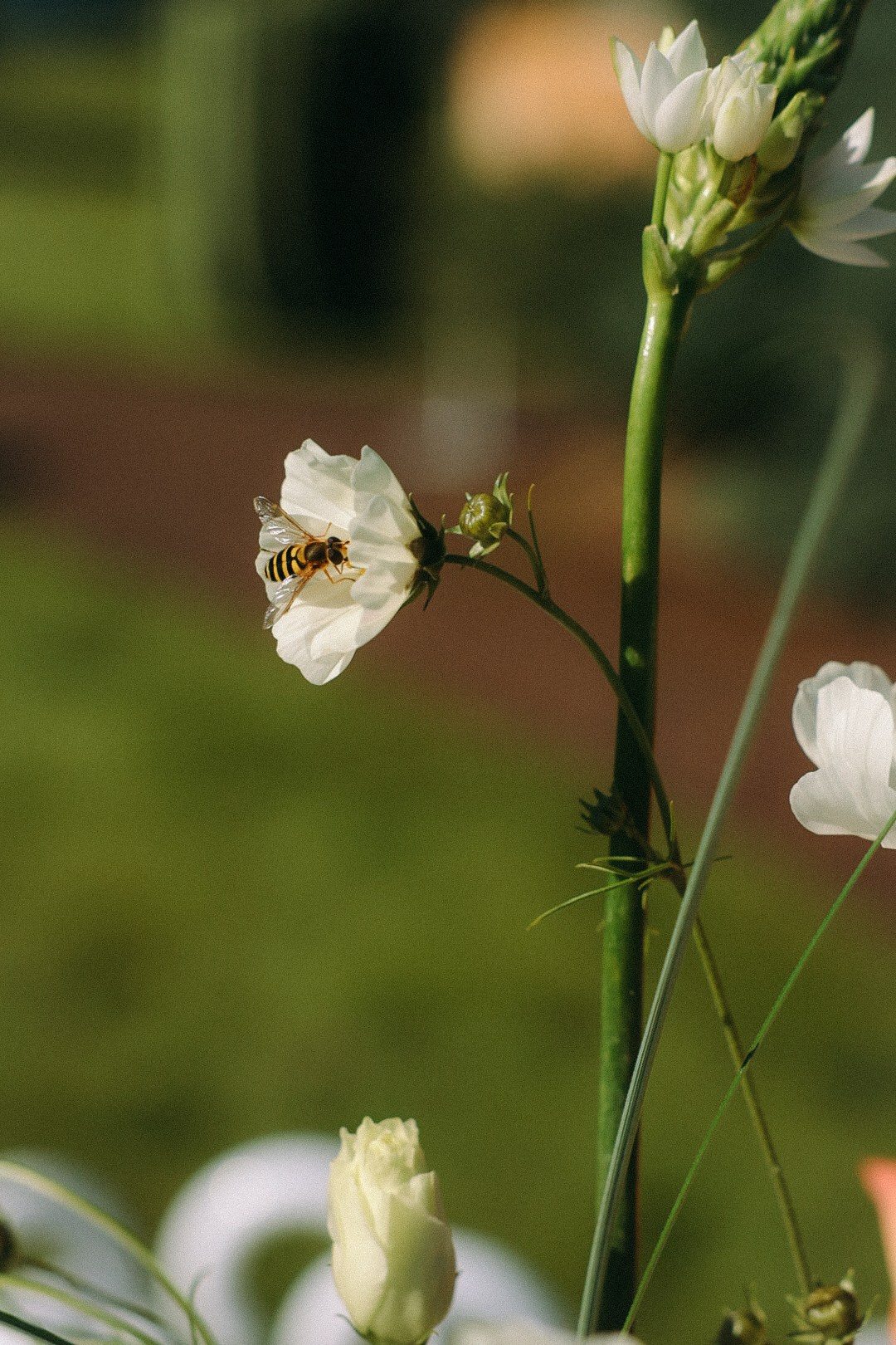 Владимир и Наталья. Фотограф Нижний Новгород