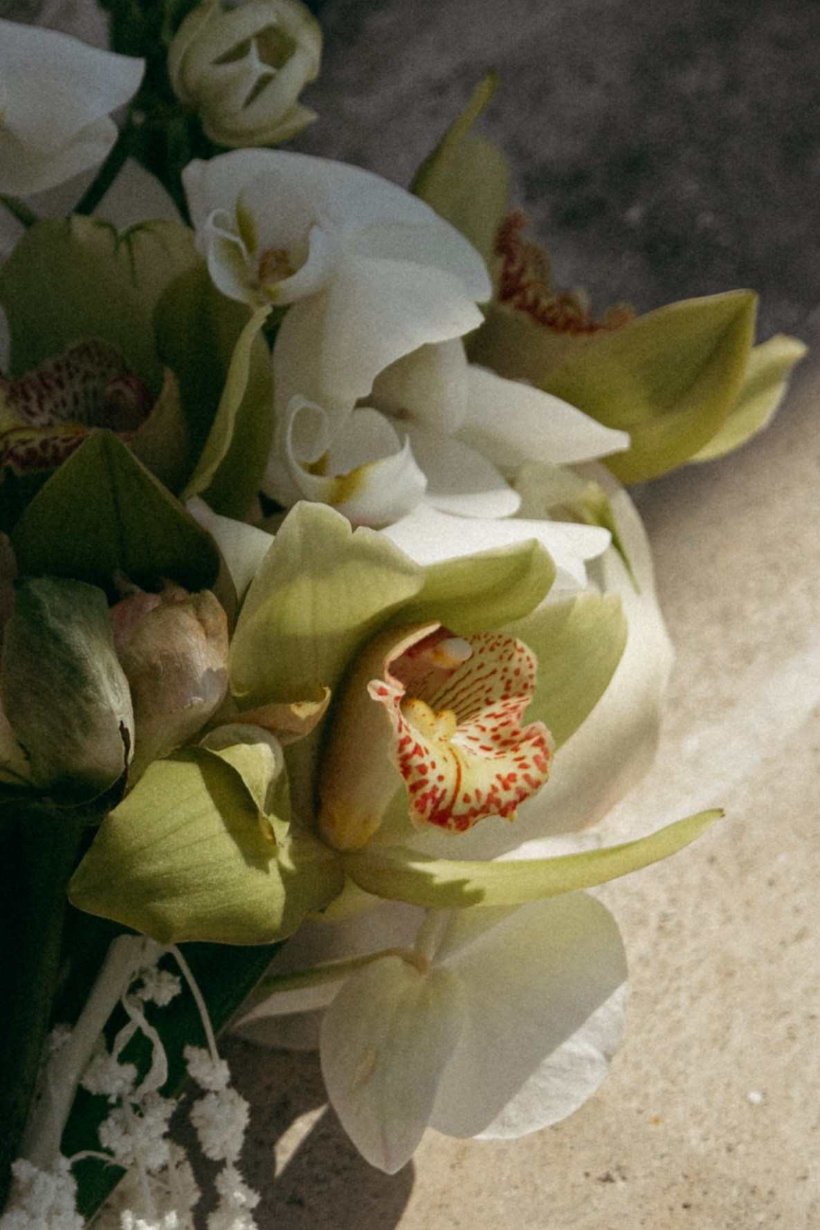 Павел и Нина. Главная