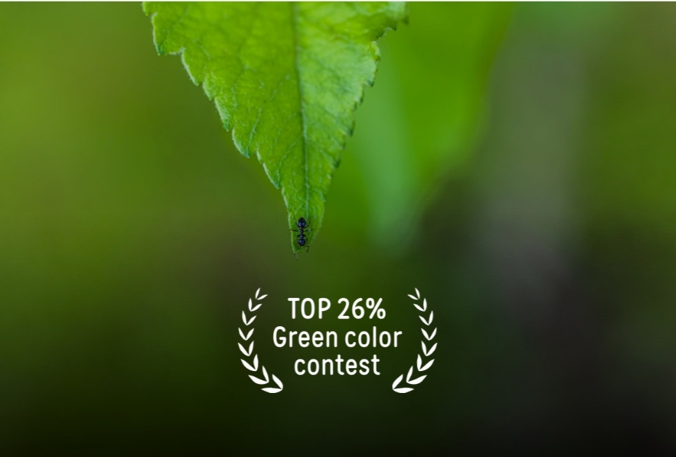 Дипломы и выставки. Карточки для маркетплейсов