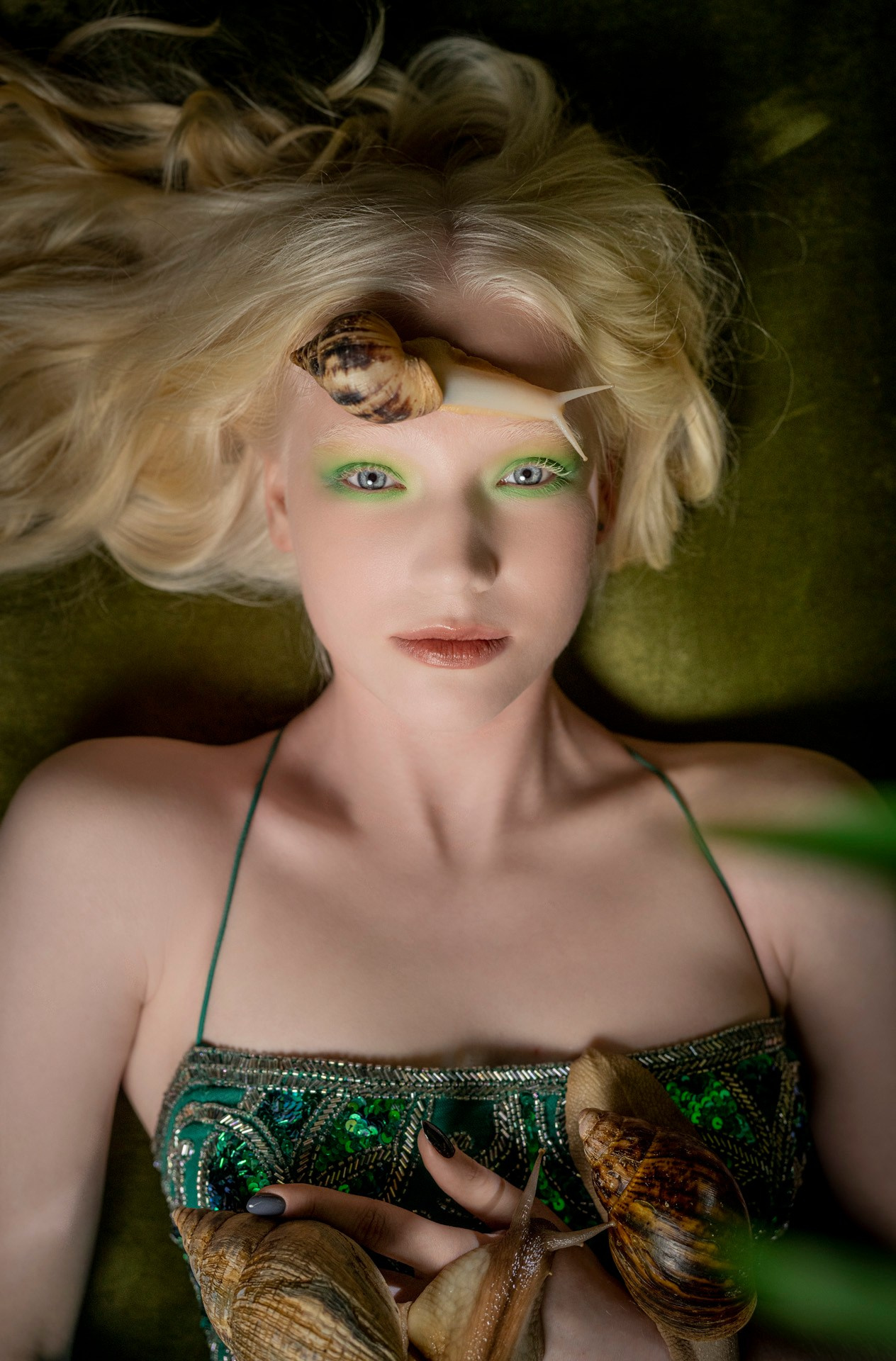 Улитки. Фотограф Сергей Танков