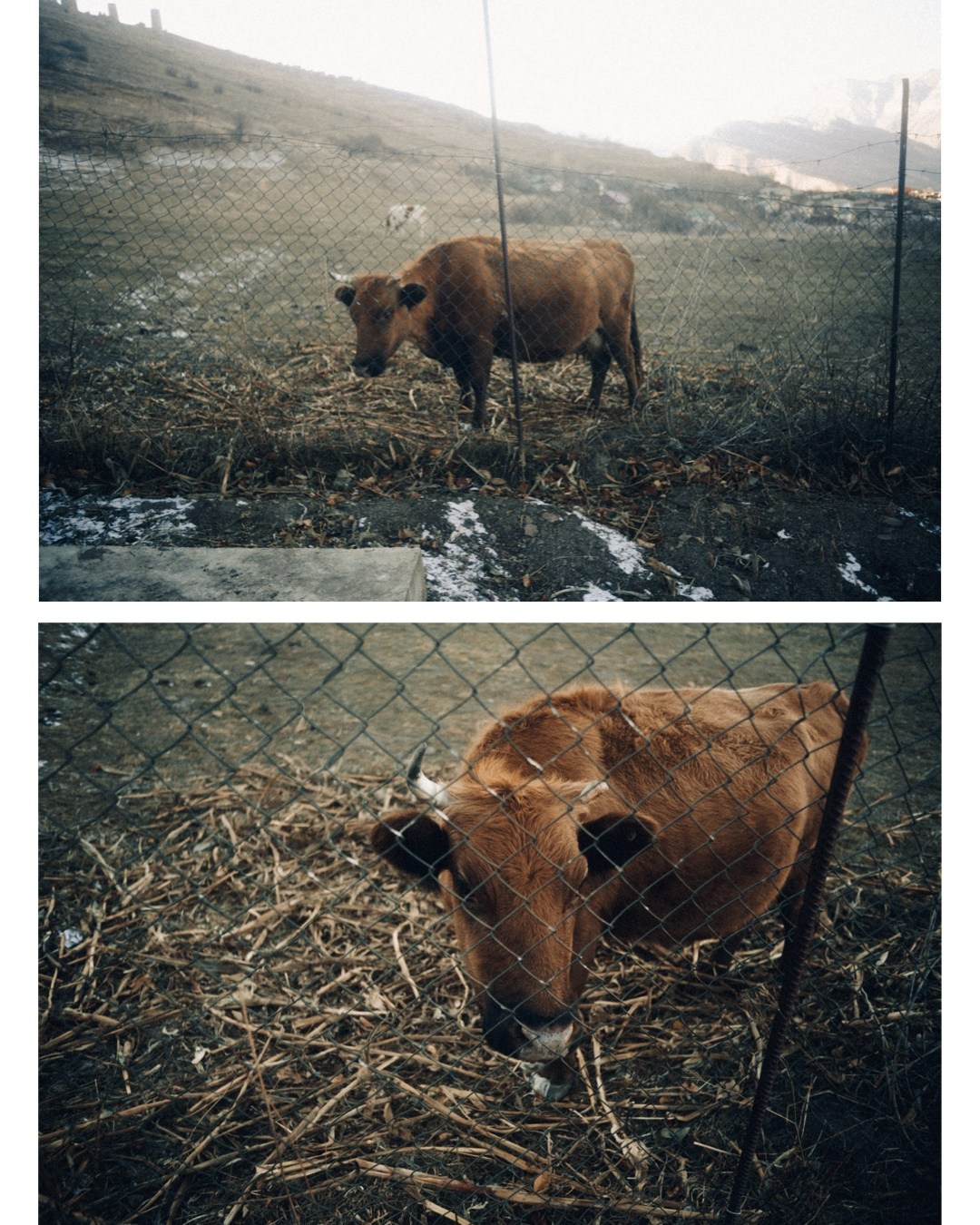 Дагестан. Фотосъёмка для компании по организации туров
