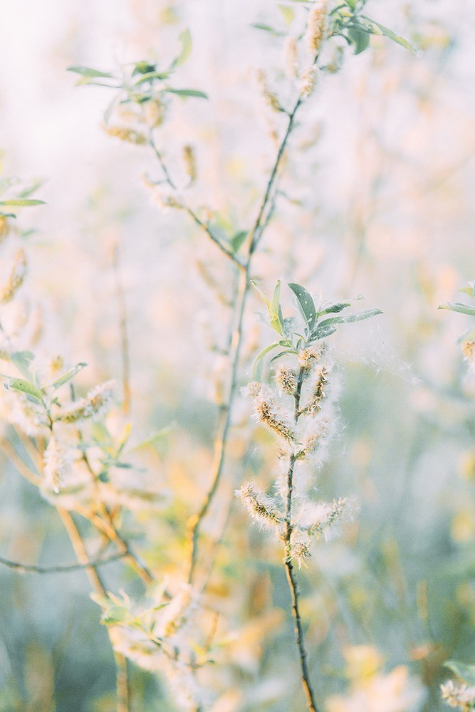 Дыхание Урала