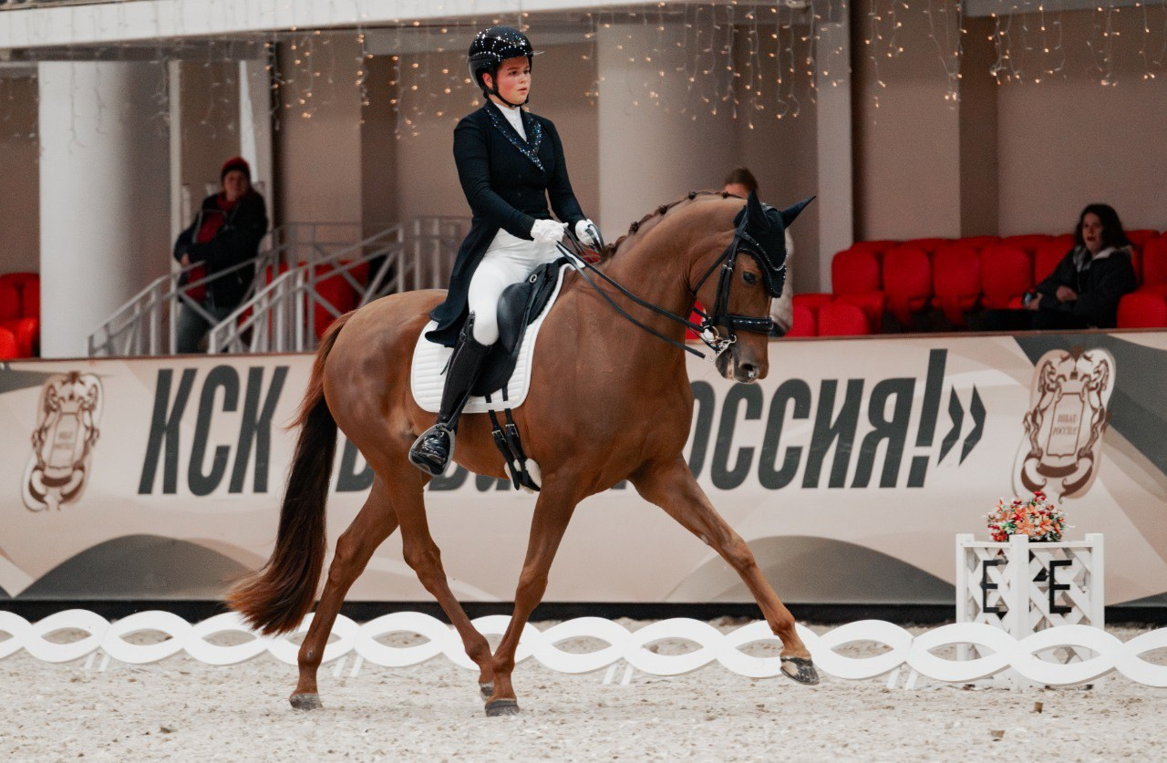 МЕЖДУНАРОДНЫЕ СОРЕВНОВАНИЯ по ВЫЕЗДКЕ КСК «Виват, Россия!». Куракина Дарья • Конный фотограф