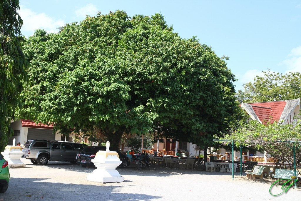 Тайланд. Пхукет 2013. Улица, люди, жизнь…