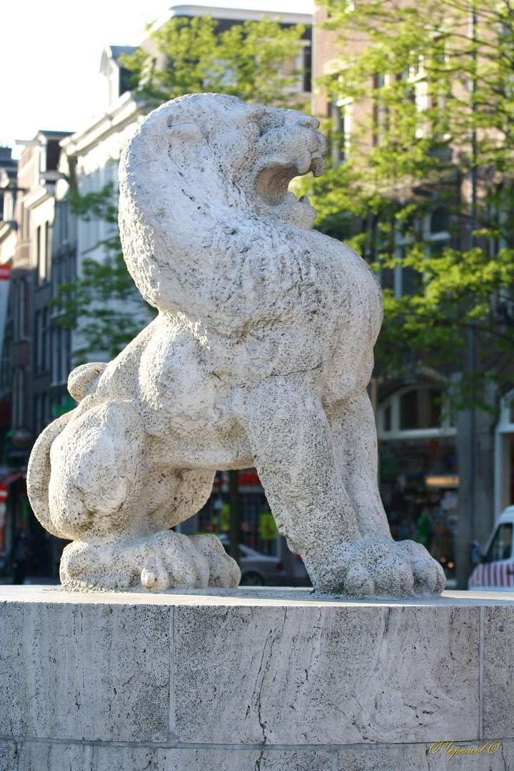 Франция 2009 г. Улица, люди, жизнь…