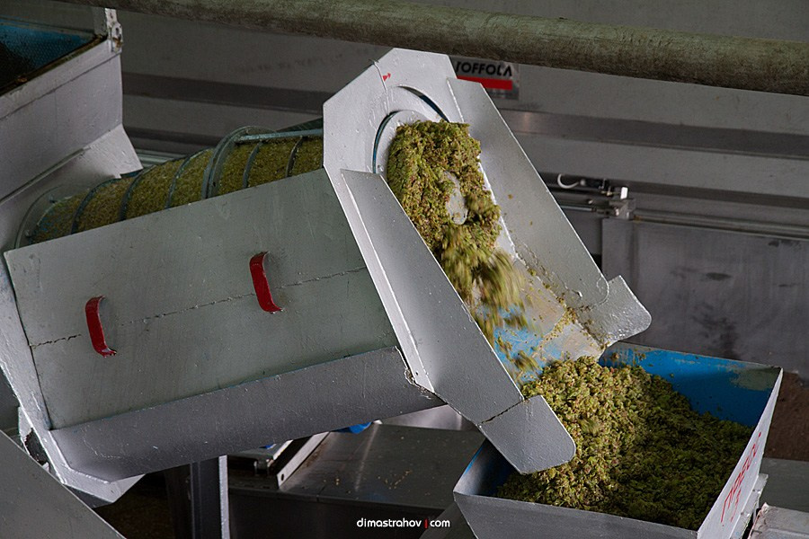 Винзавод Качинский +. Свадебный фотограф, фотосъемка в Крыму, Севастополе, Симферополе, Ялте