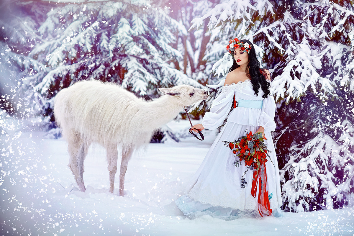 Шоу с Ламой. Подрядчики и друзья сети свадебных площадок House for wedding