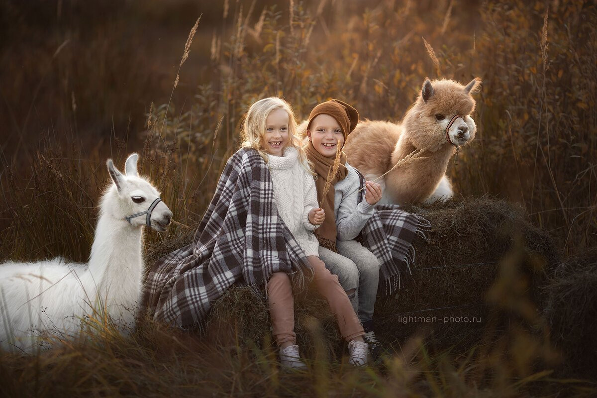 Шоу с Ламой. Подрядчики и друзья сети свадебных площадок House for wedding