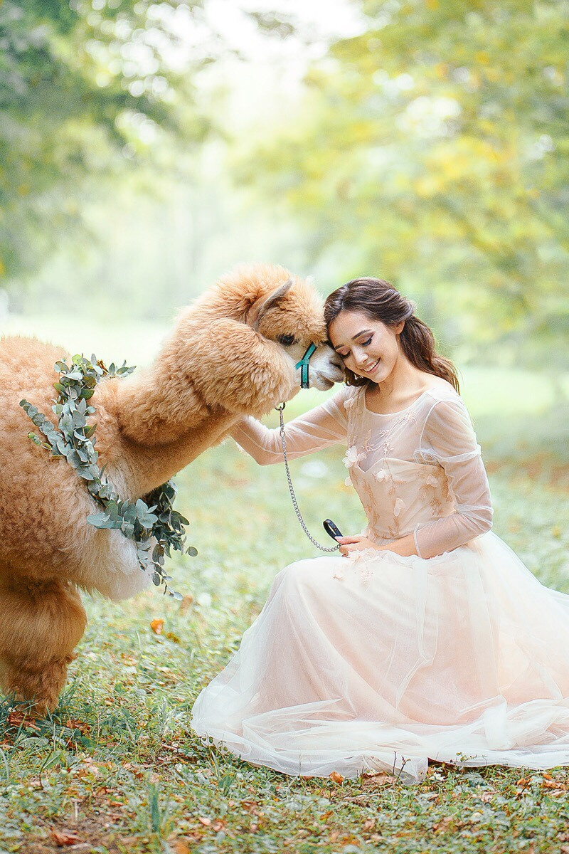 Шоу с Ламой. Подрядчики и друзья сети свадебных площадок House for wedding