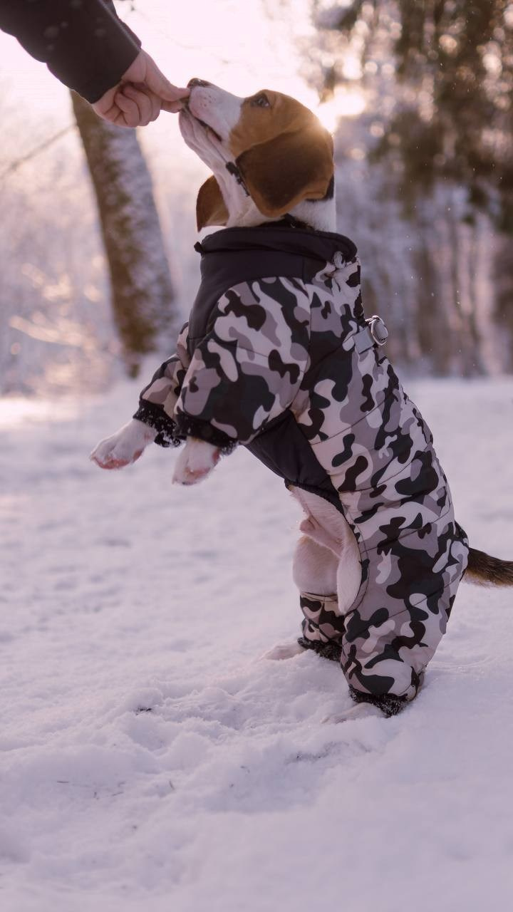 Юля Дима и малыш Оскар