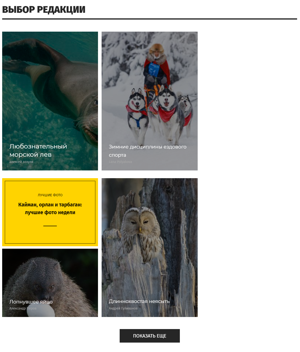 Публикации на сайте National Geographic Россия. Выбор редакции