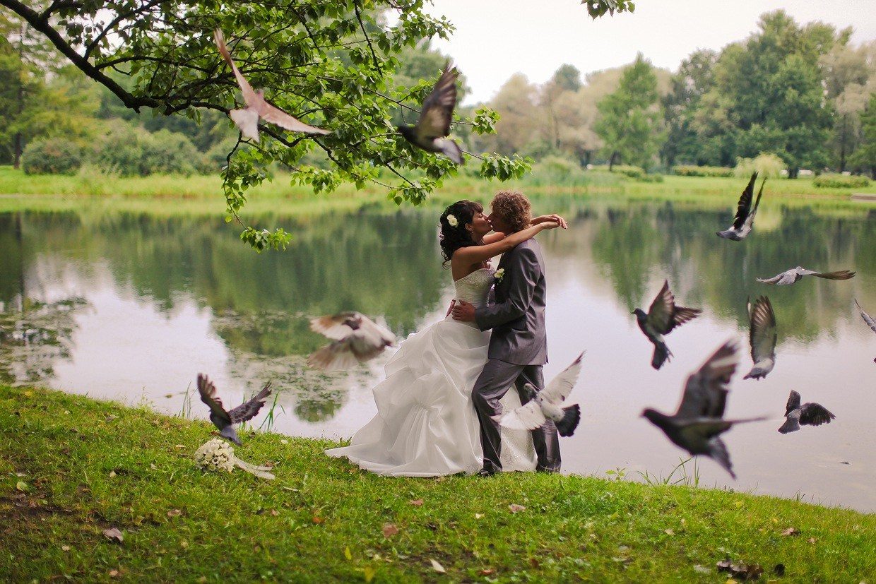 молодожены у пруда целуются на фоне взлетающих голубей