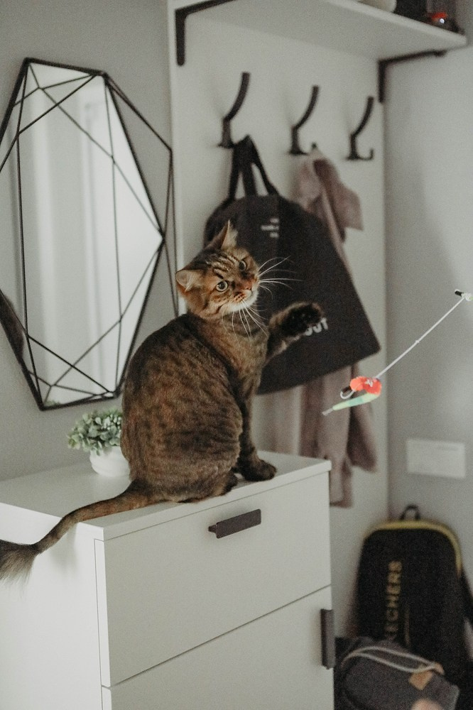 Дом — территория настоящности!. Катя Сидор — фотограф в Москве