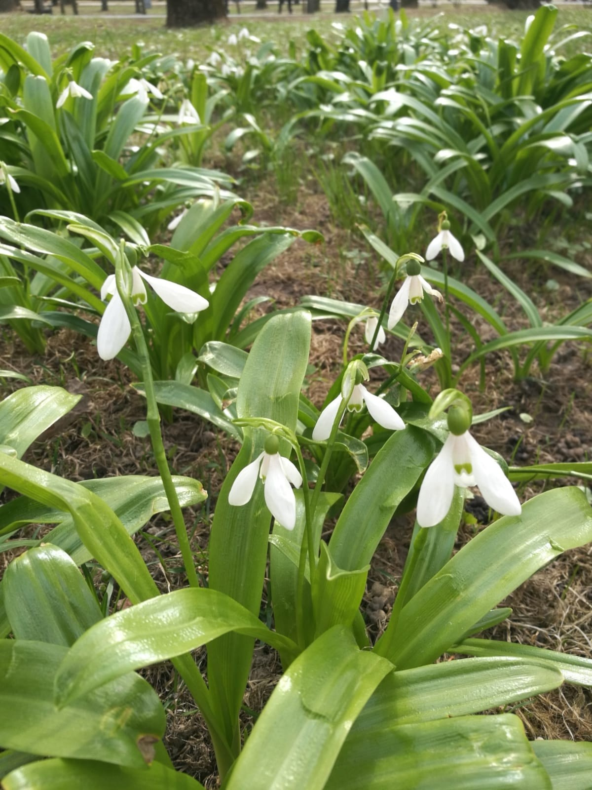 Смоленск | 05-06.04.2025. Галерея Фантим