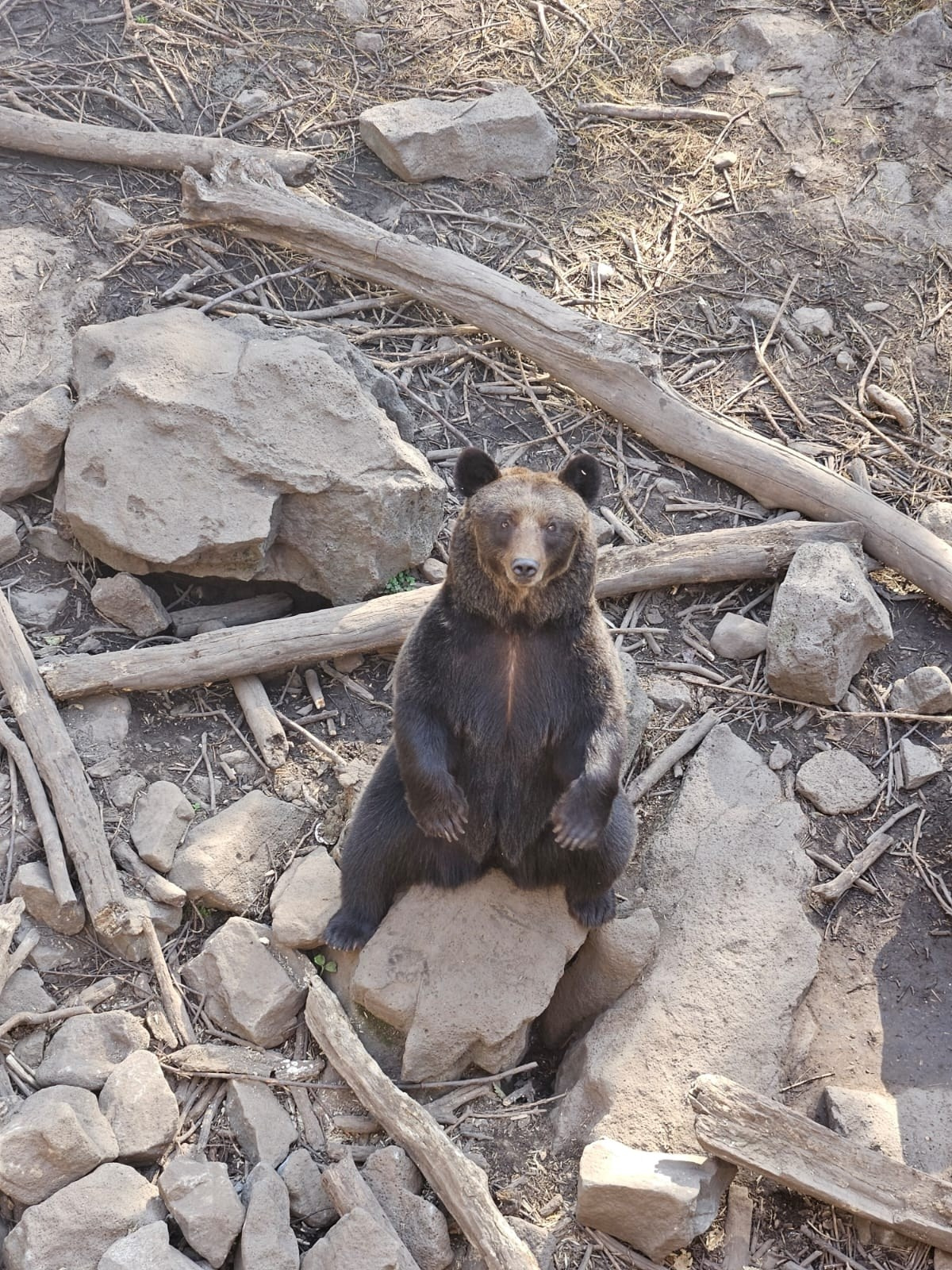 Владивосток 1 | 18-21.09.2025. Галерея Фантим