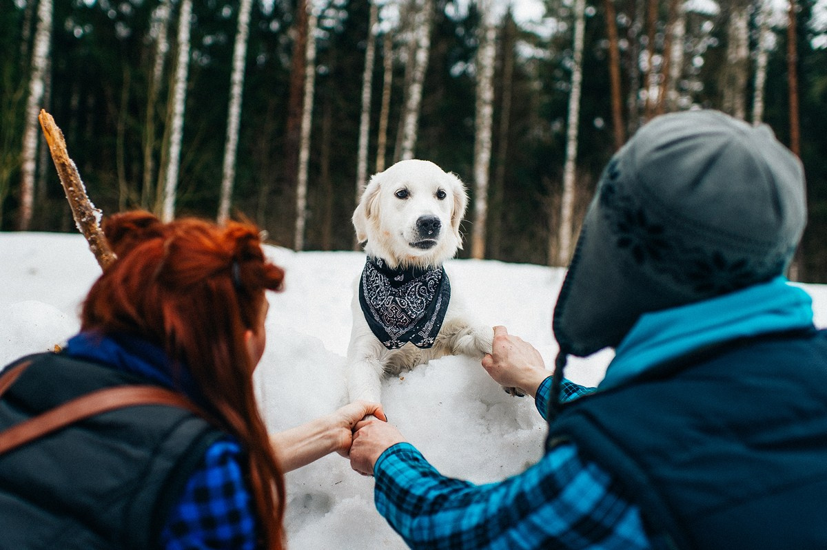 ШАНТИ и СЕМЬЯ. Свадебный и семейный фотограф РИТА БОЧКАРЁВА