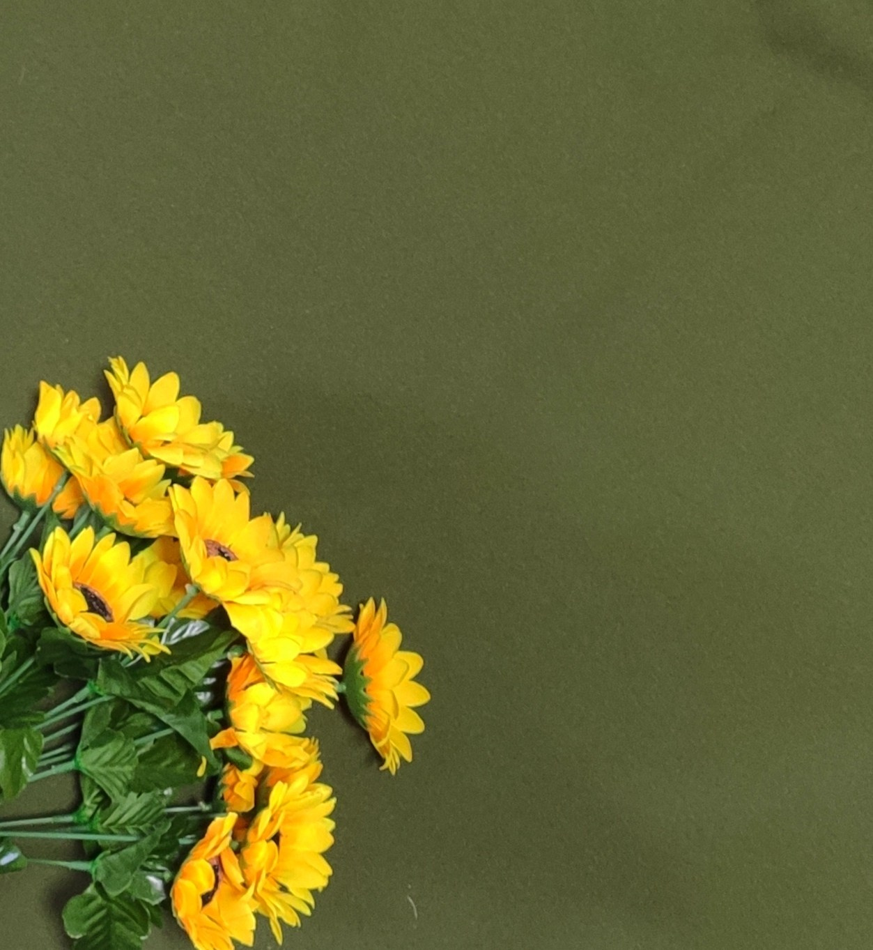 Фоны. School Photographer In Astana Tabakova Natalya