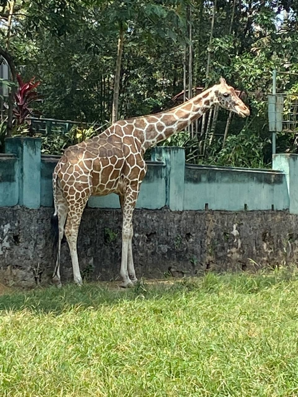 Шри-Ланка | 31.01 — 10.02.2025. Галерея Фантим