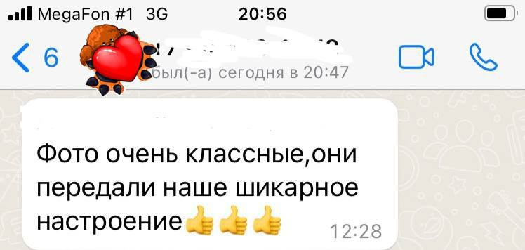 Отзывы из мессенджеров. Мария Черных — портретный и семейный фотограф в Краснодаре