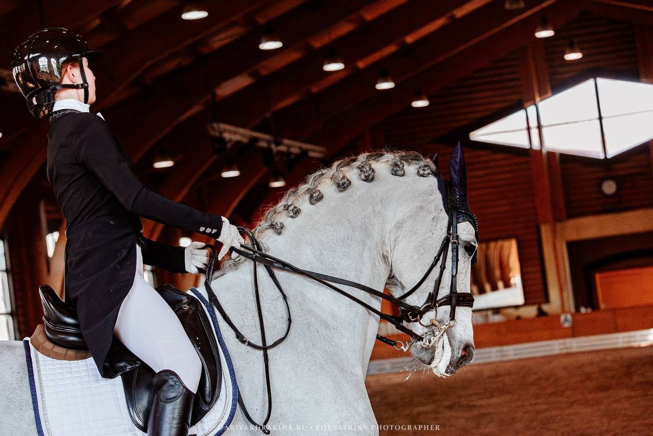 СОРЕВНОВАНИЯ КУБОК КСК «ПЕГАС» ПО ВЫЕЗДКЕ. Куракина Дарья • Конный фотограф