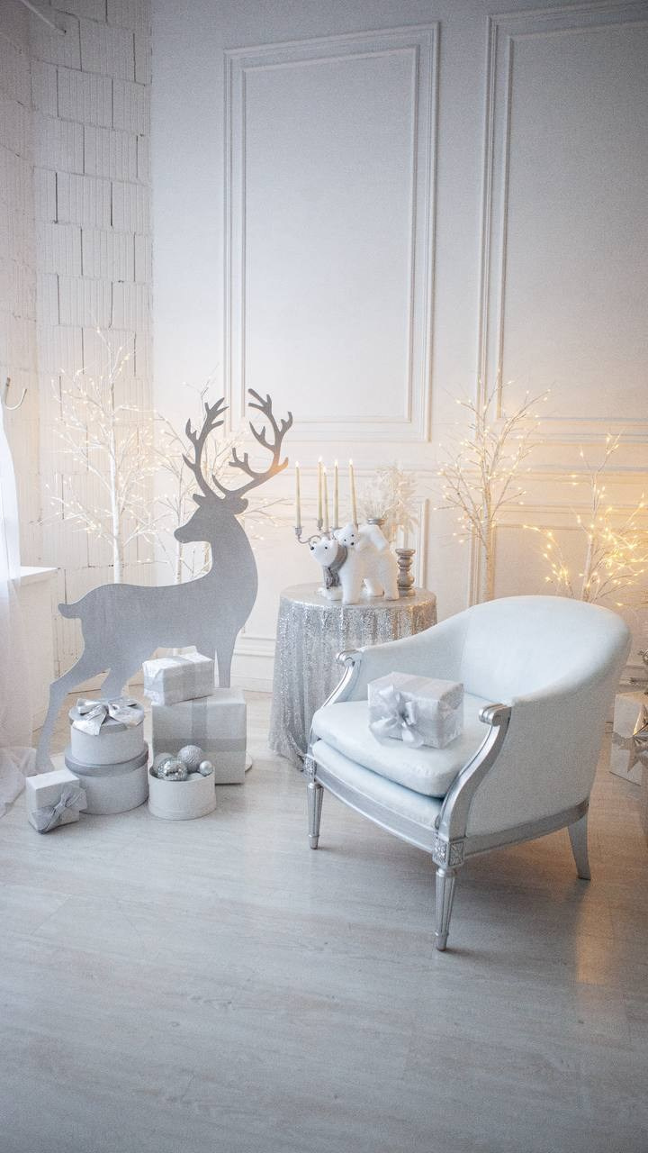 Новогодние фотодни Мытищи. Katerina Schastlivaya