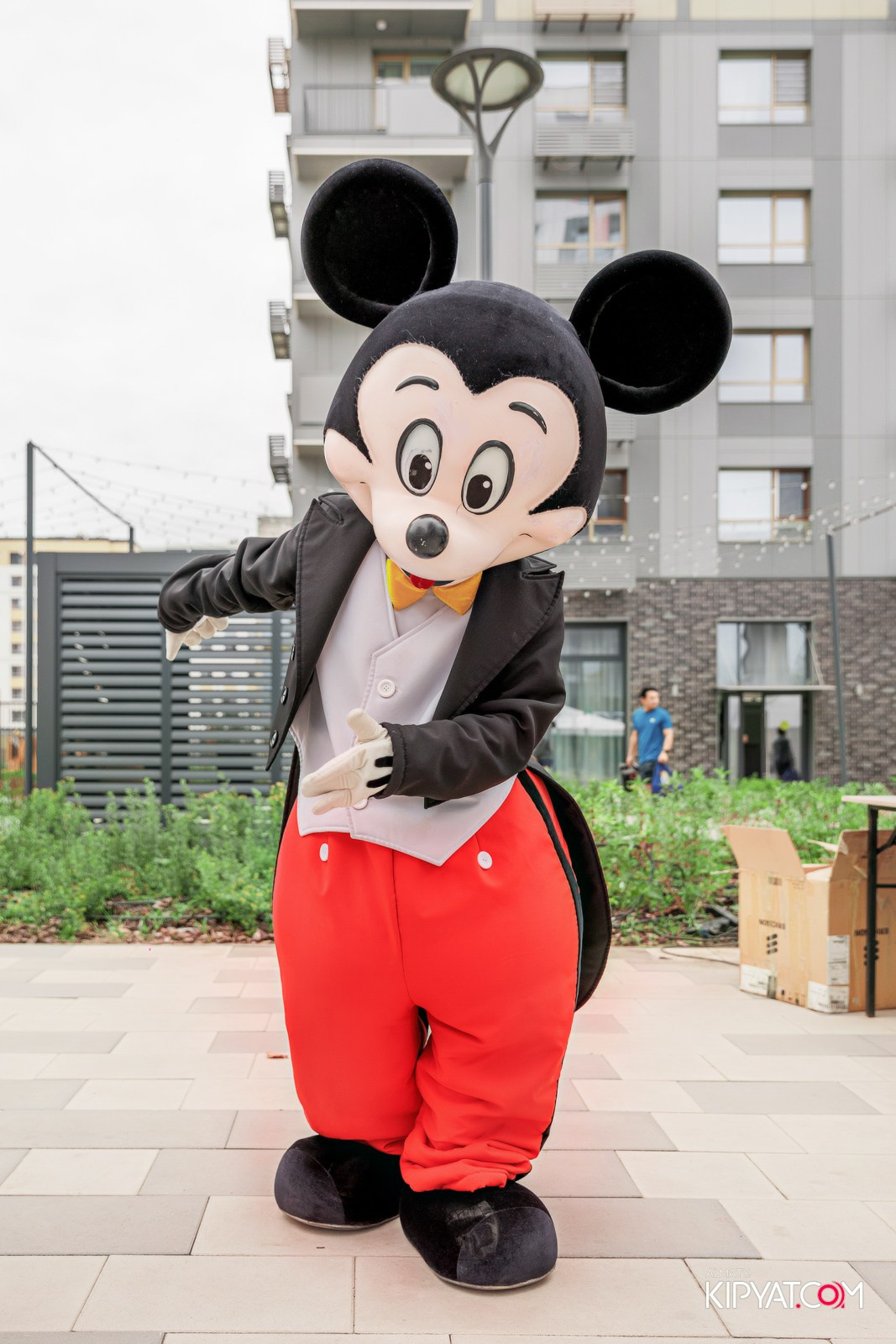 BI RUN 2025. КИПЯТКОМ АЛМАТЫ!