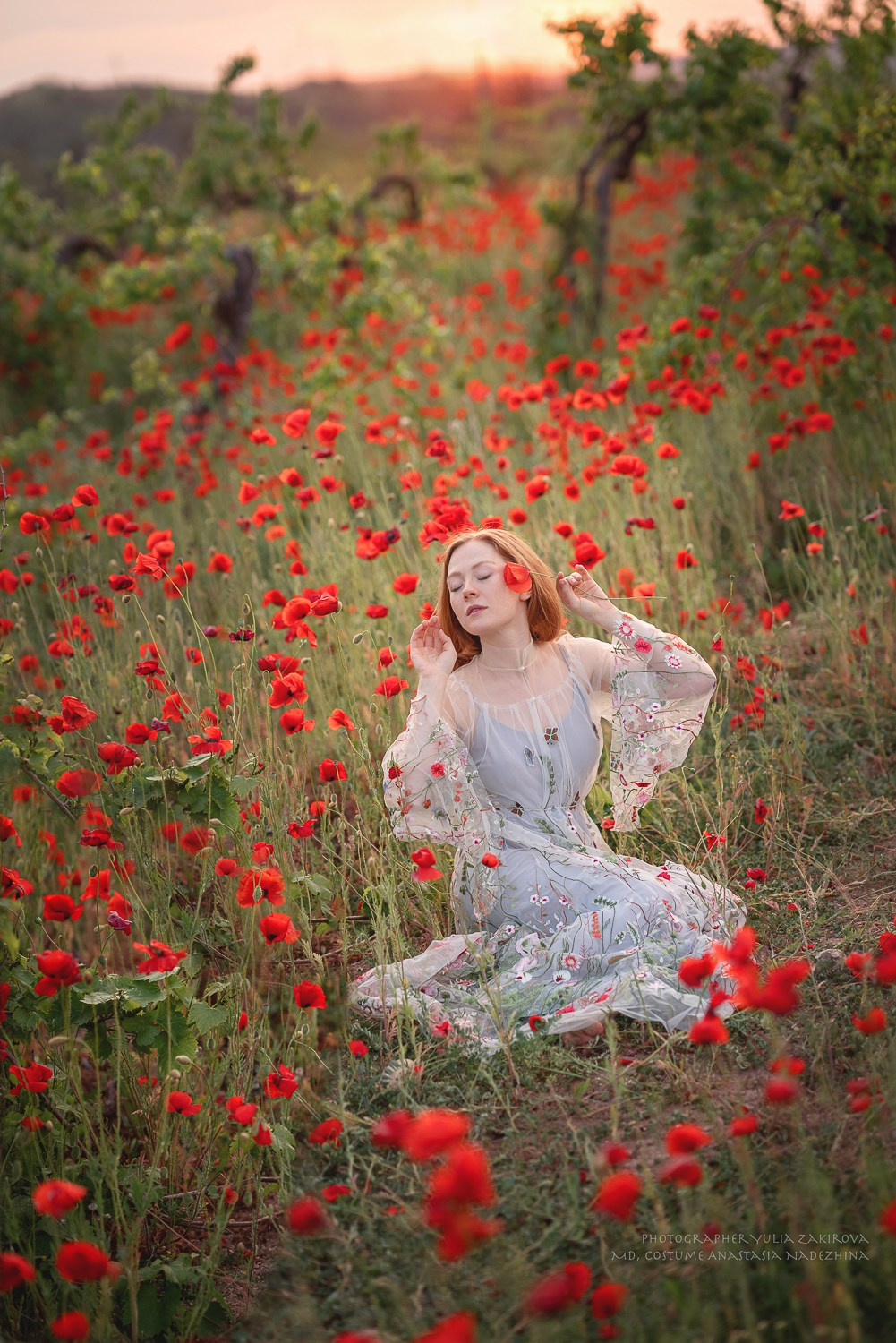 Маковое поле. Проверка