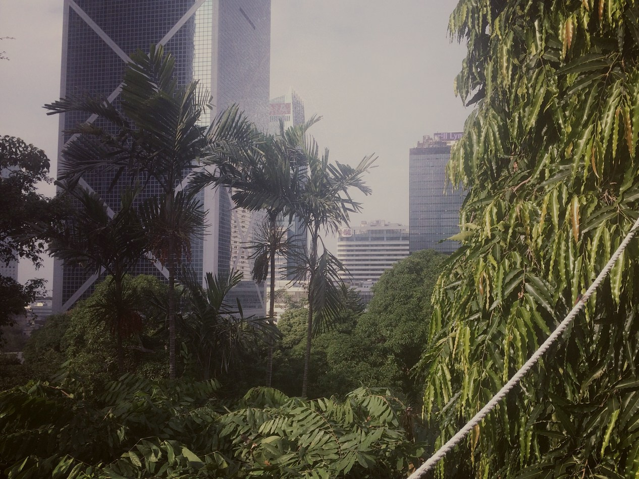 Hong Kong Doc / Гонконг Док. Художник Катерина Копейкина / Artist Katerina Kopeikina