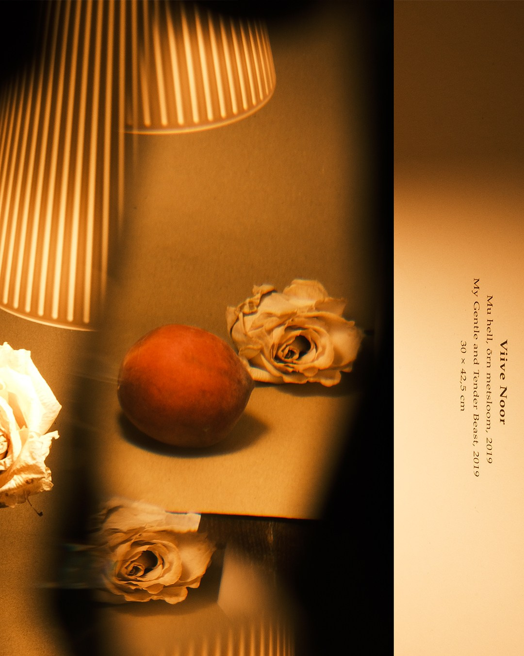 Предмет, каталог, бизнес. Фотограф Тимур Тимербаев