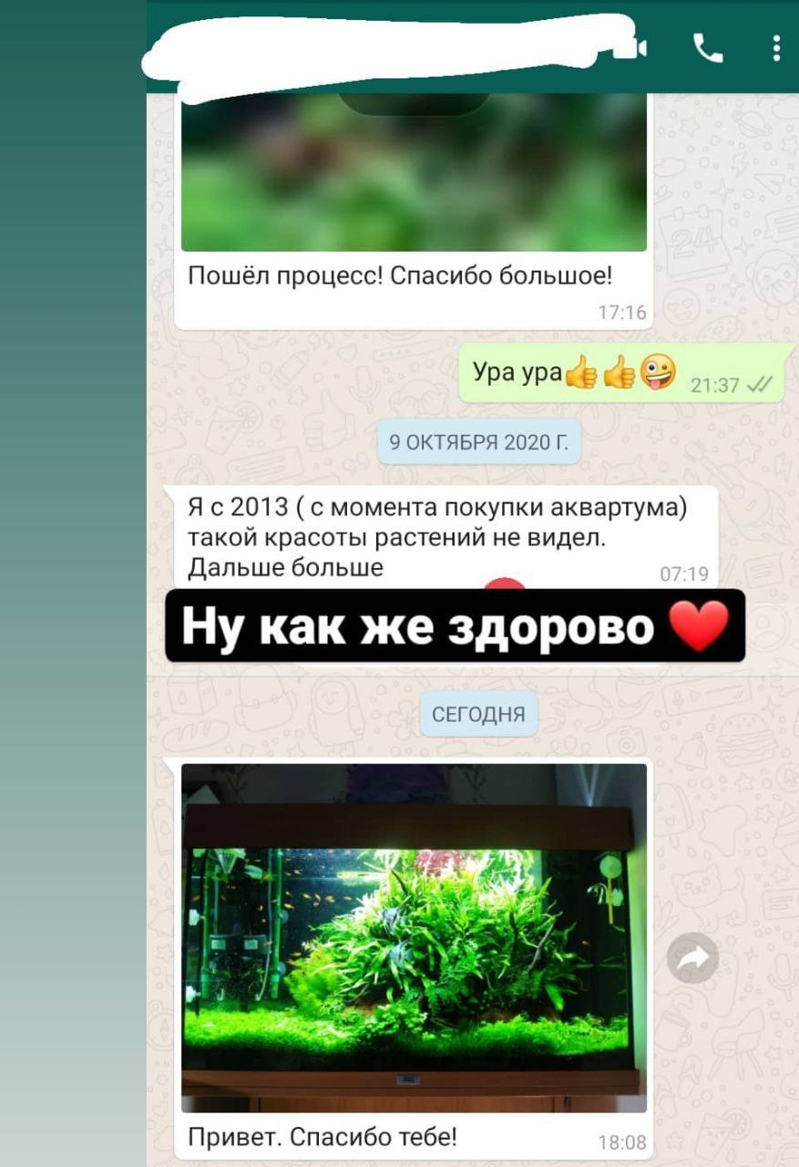 Путеводитель по растительным аквариумам. Аквариумист Максим Ерёмин. Aqua Maxim