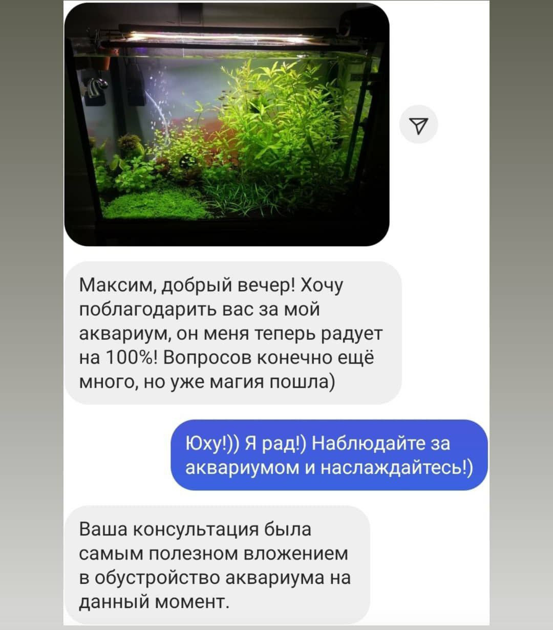 Путеводитель по растительным аквариумам. Аквариумист Максим Ерёмин. Aqua Maxim