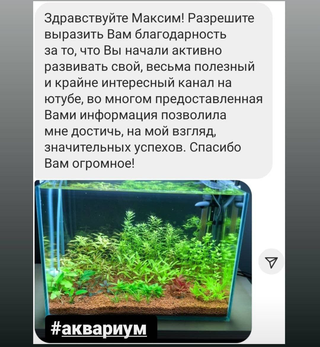 Путеводитель по растительным аквариумам. Аквариумист Максим Ерёмин. Aqua Maxim