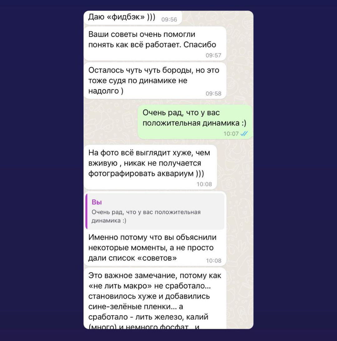 Путеводитель по растительным аквариумам. Аквариумист Максим Ерёмин. Aqua Maxim