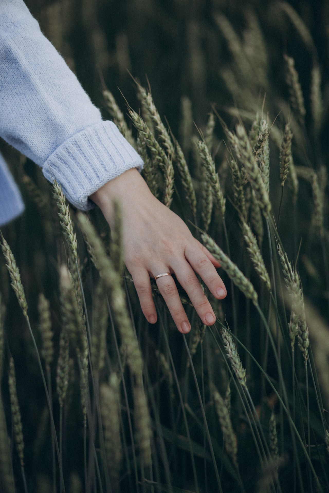 Отзывы. Семейный фотограф в Челябинске Ксения Зубкова