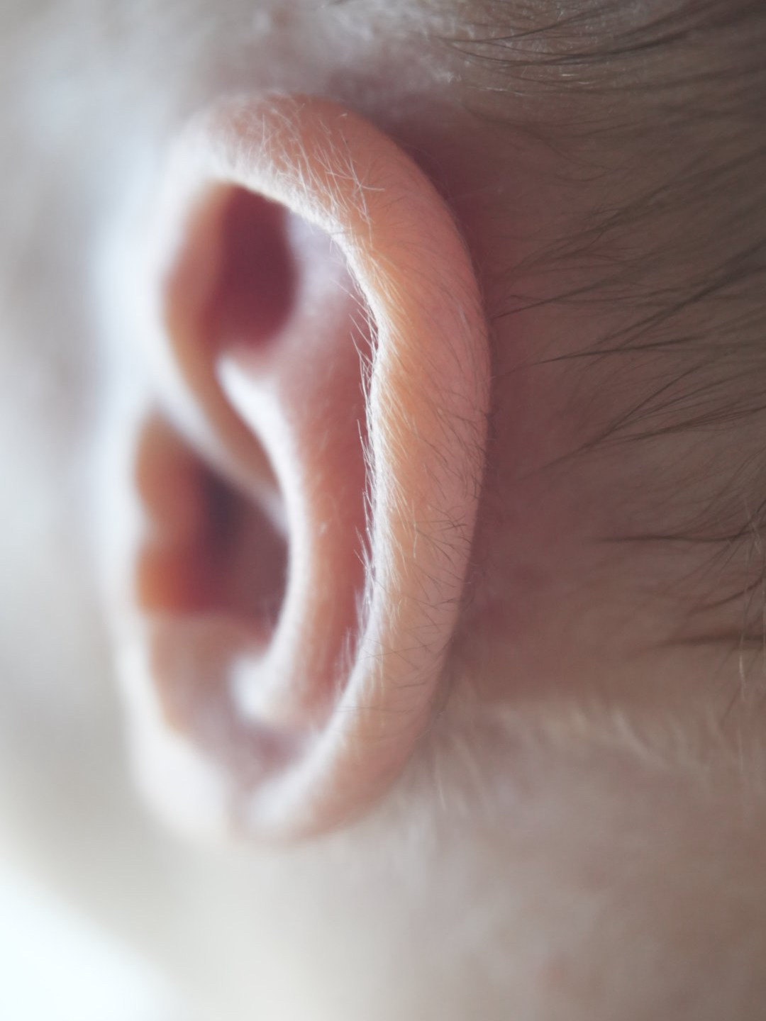 Макро снимки. Фотограф новорожденных в Екатеринбурге Екатерина Алексюк