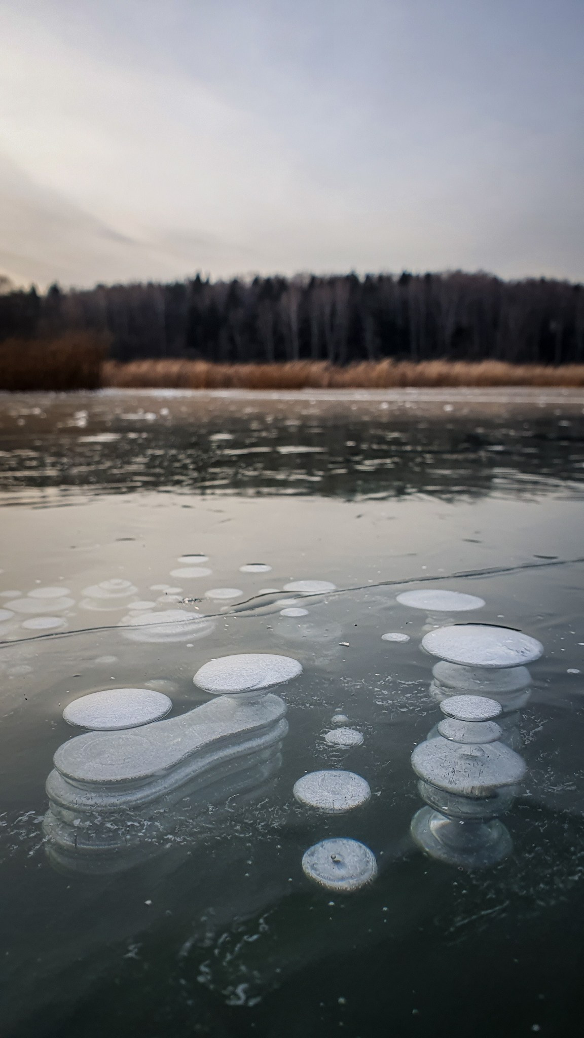 Nature. Андрей Пиотровский. Фотограф