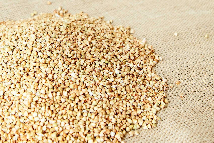 Крупы. Александра Панина фотограф, портрет, семья, бизнес, Новосибирск