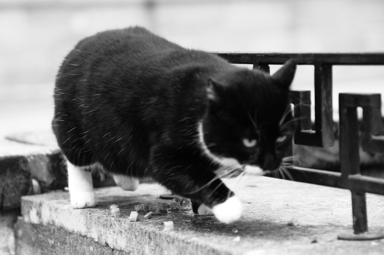 Зимняя Феодосия. Фотограф Евгений Симохин