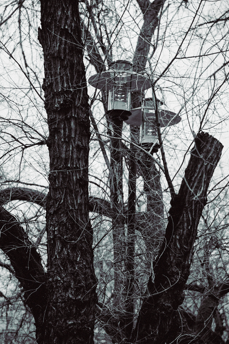 Зимняя Феодосия. Фотограф Евгений Симохин