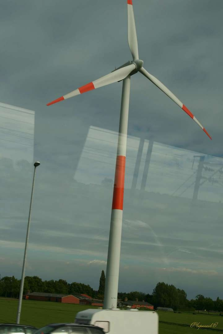 Голландия 2009 г. Улица, люди, жизнь…