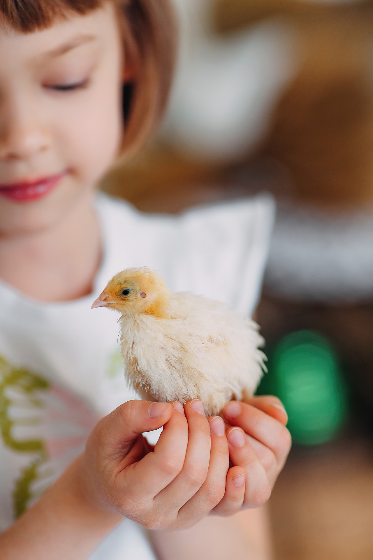 Пасхальный фотопроект с кроликами и цыплятами совместно с фотостудией Art House. Семейный и детский фотограф в Пскове и Санкт-Петербурге Яна Калинина