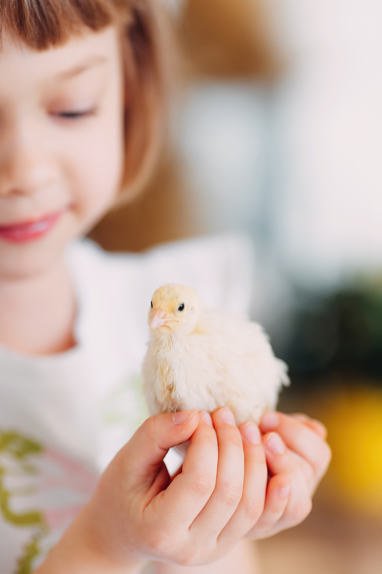 Пасхальный фотопроект с кроликами и цыплятами совместно с фотостудией Art House. Семейный и детский фотограф в Пскове и Санкт-Петербурге Яна Калинина