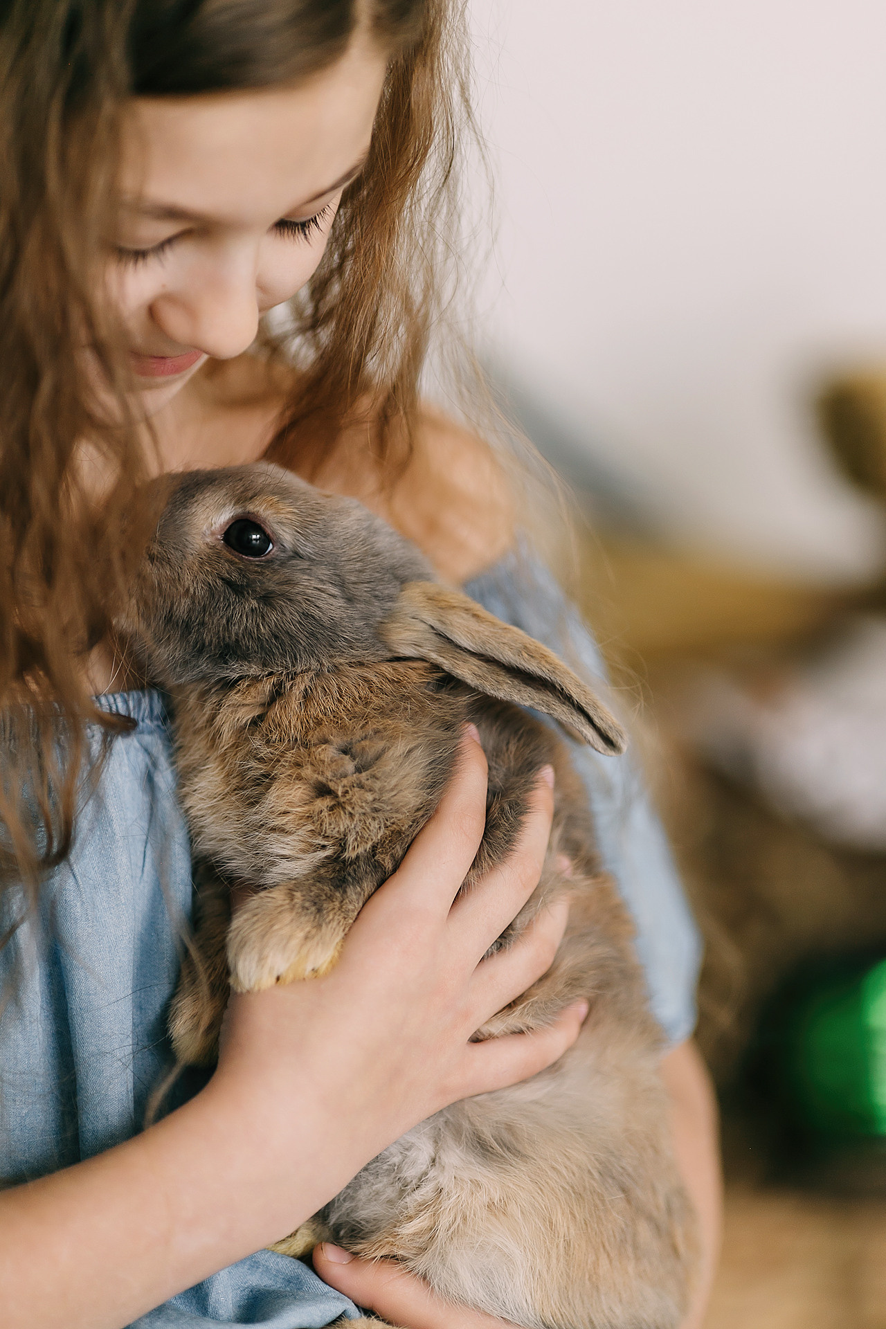 Пасхальный фотопроект с кроликами и цыплятами совместно с фотостудией Art House. Семейный и детский фотограф в Пскове и Санкт-Петербурге Яна Калинина
