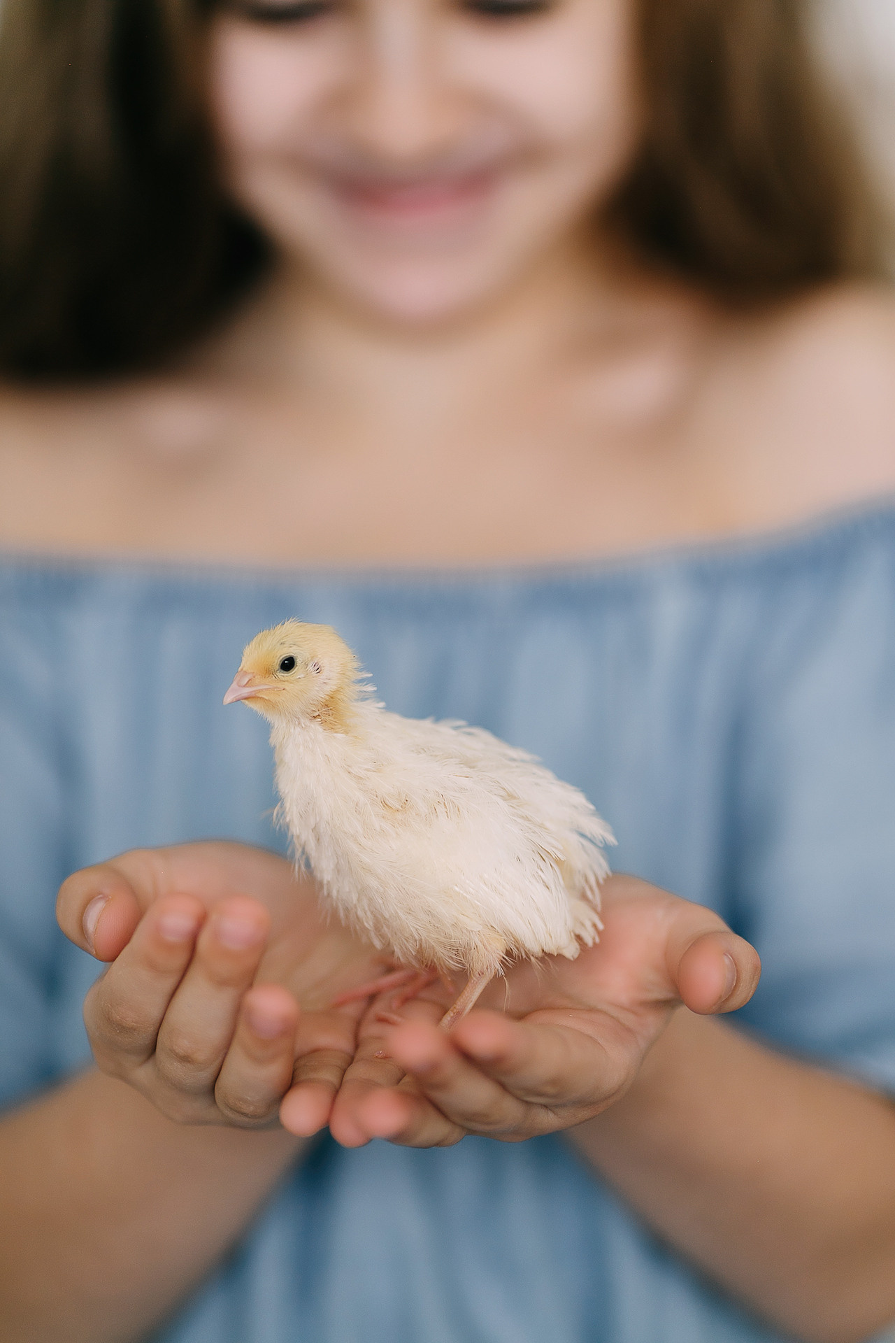 Пасхальный фотопроект с кроликами и цыплятами совместно с фотостудией Art House. Семейный и детский фотограф в Пскове и Санкт-Петербурге Яна Калинина