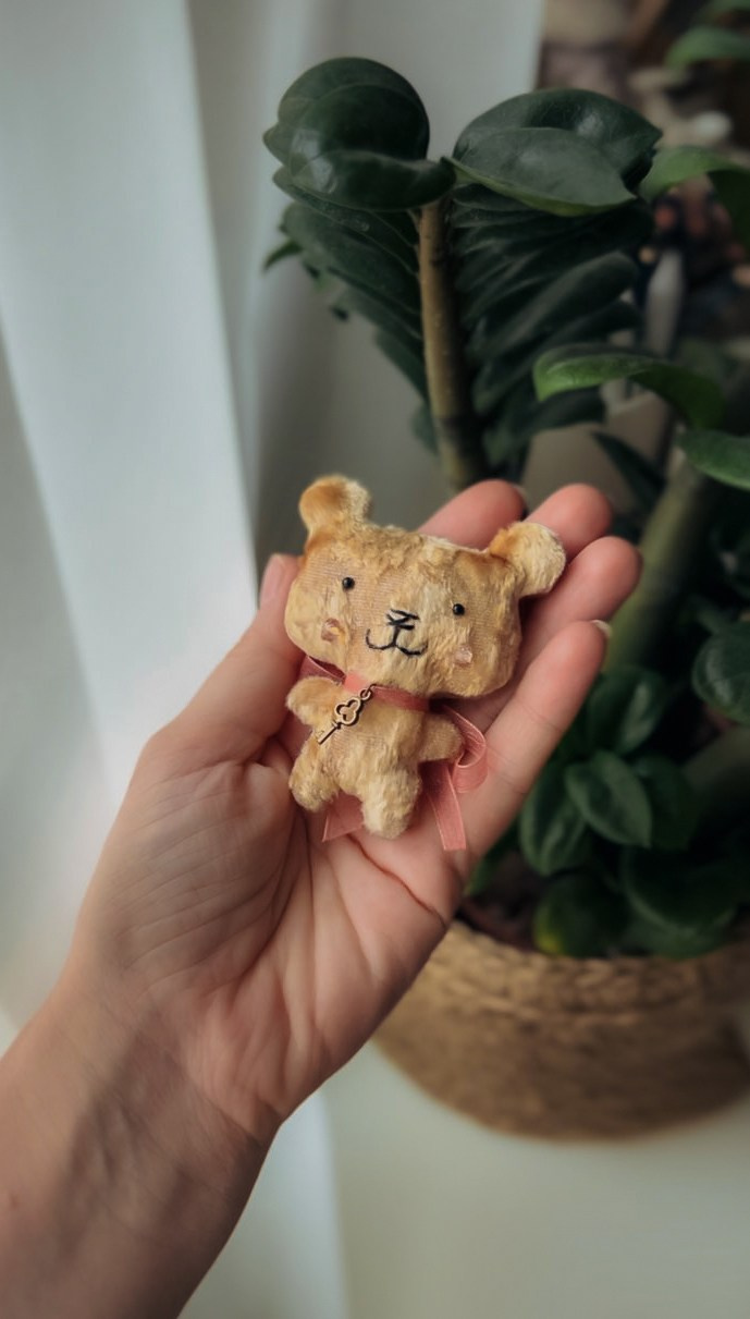 Тедди. Фотограф Ольга Сальманович