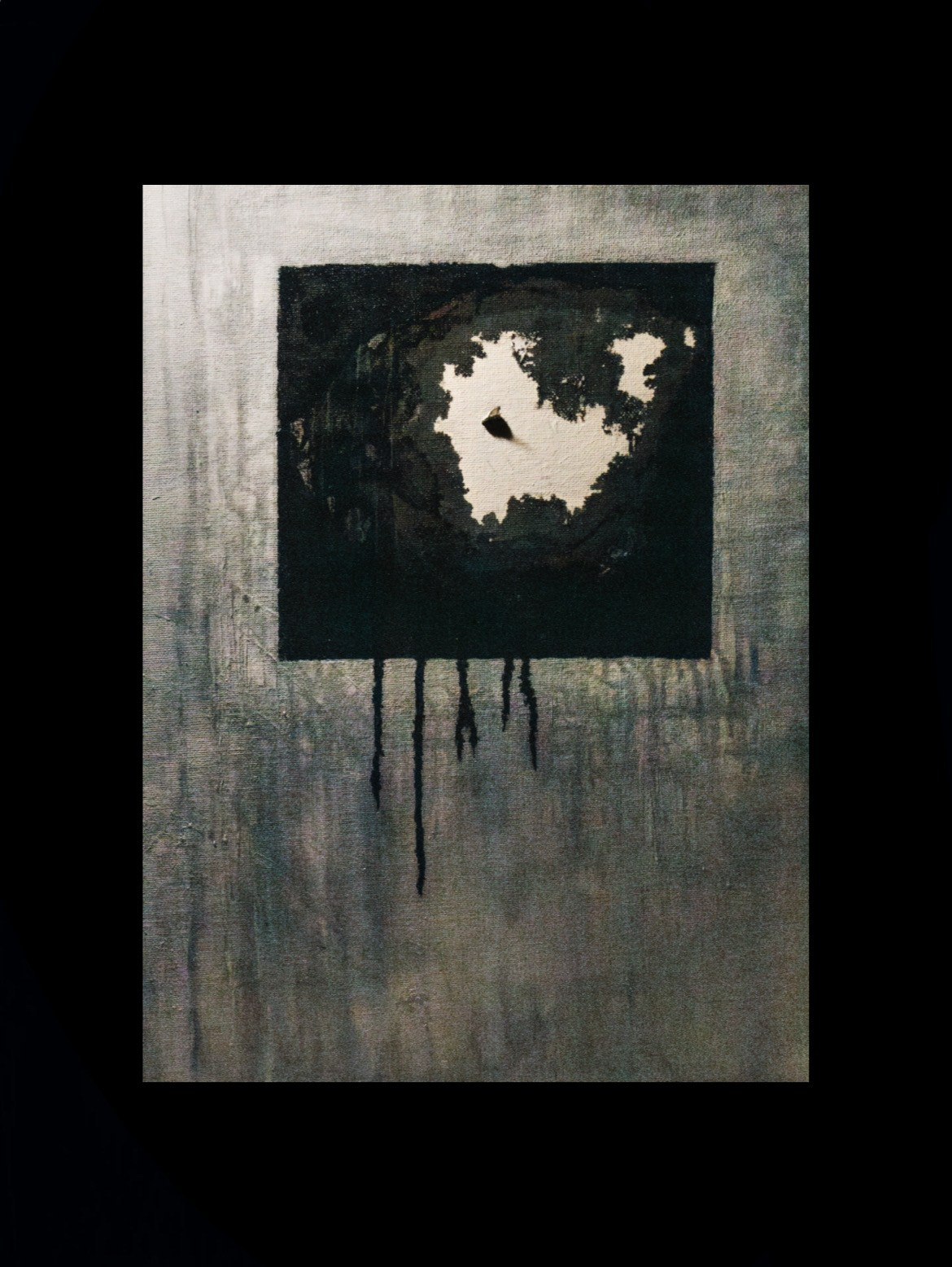 Муха. Портфолио