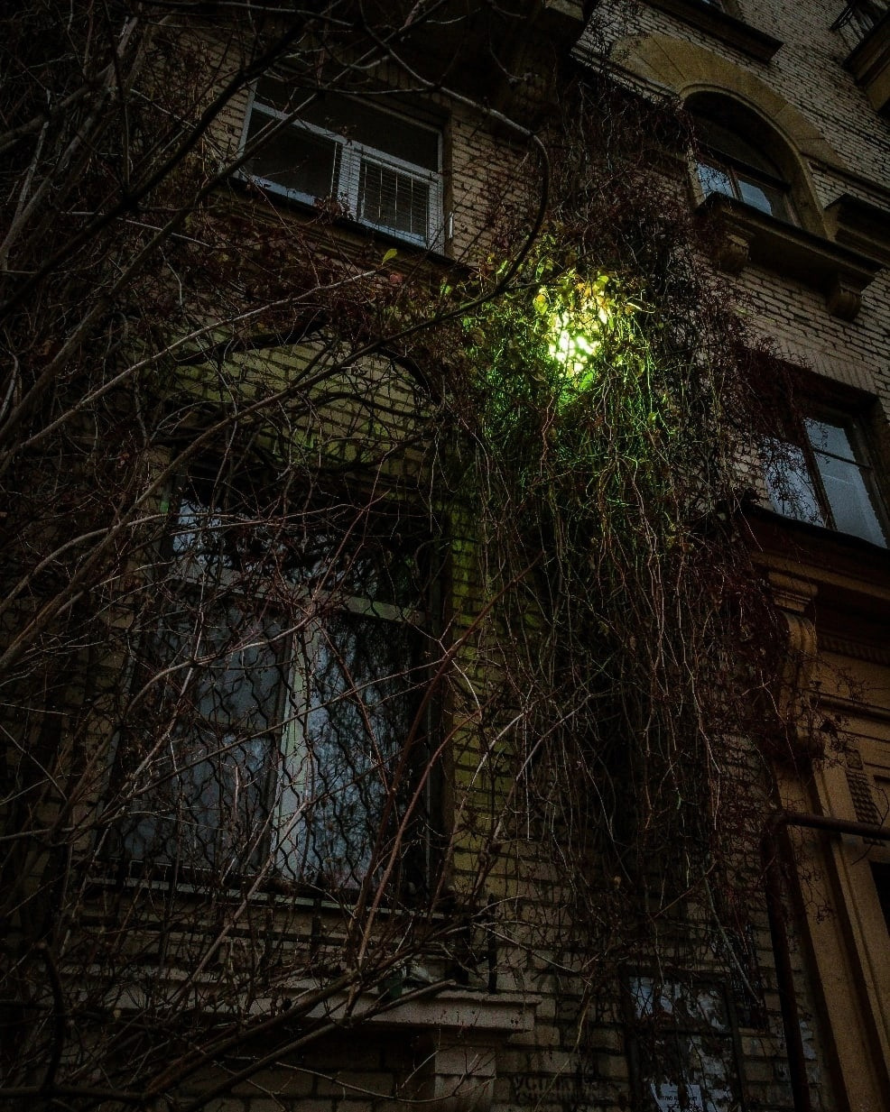 Мобильная фотография. Фотограф людей и животных в Санкт-Петербурге Марина Бурмистрова